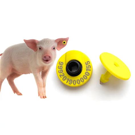 rfid tags swine|840 pig tags for sale.